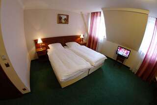 Отель Jaśminowy Dwór Rokietnica Двухместный номер с 1 кроватью или 2 отдельными кроватями-4